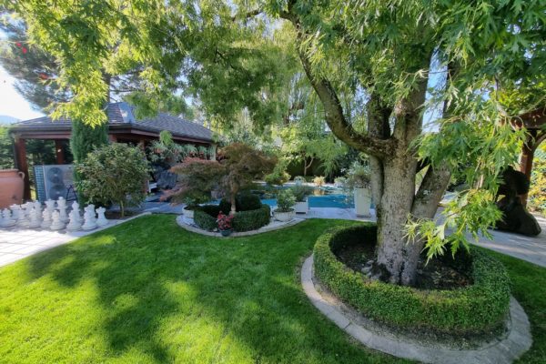 Jardin aménagé avec terrasse, massif fleuri et végétation structurée, Jardin Mimosa paysagiste Genève Vaud