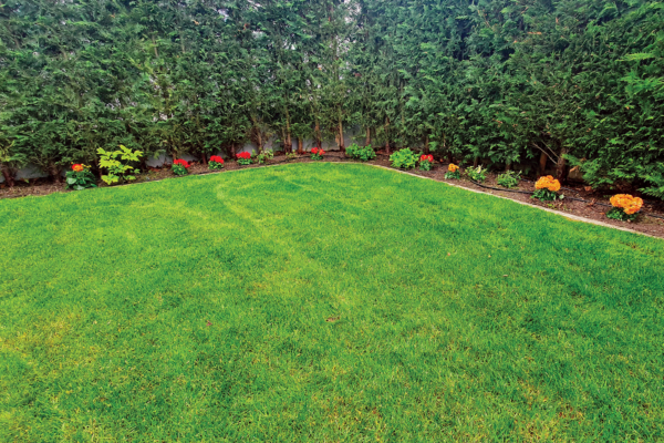 Jardin Mimosa_Insta_10