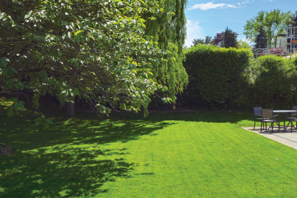 Jardin Mimosa_Insta_16