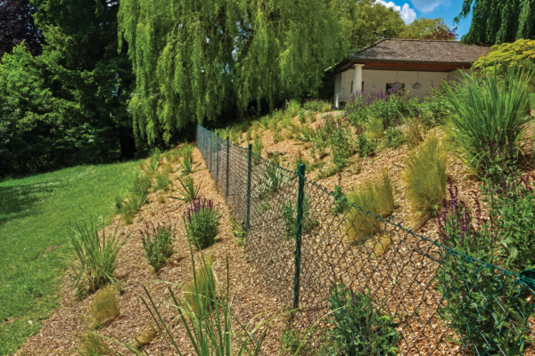 Jardin Mimosa_Insta_18