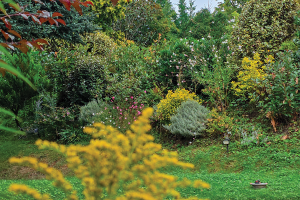 Jardin Mimosa_Insta_25