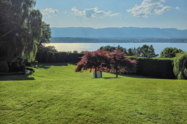 Jardin Mimosa_insta_12