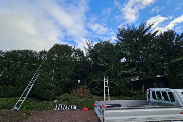 Intervention d'élagage sur arbre en milieu urbain avec nacelle, service abattage élagage Jardin Mimosa Genève
