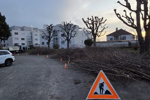 Camion de l'entreprise Jardin Mimosa en déplacement avec signalisation, paysagiste professionnel Genève Vaud