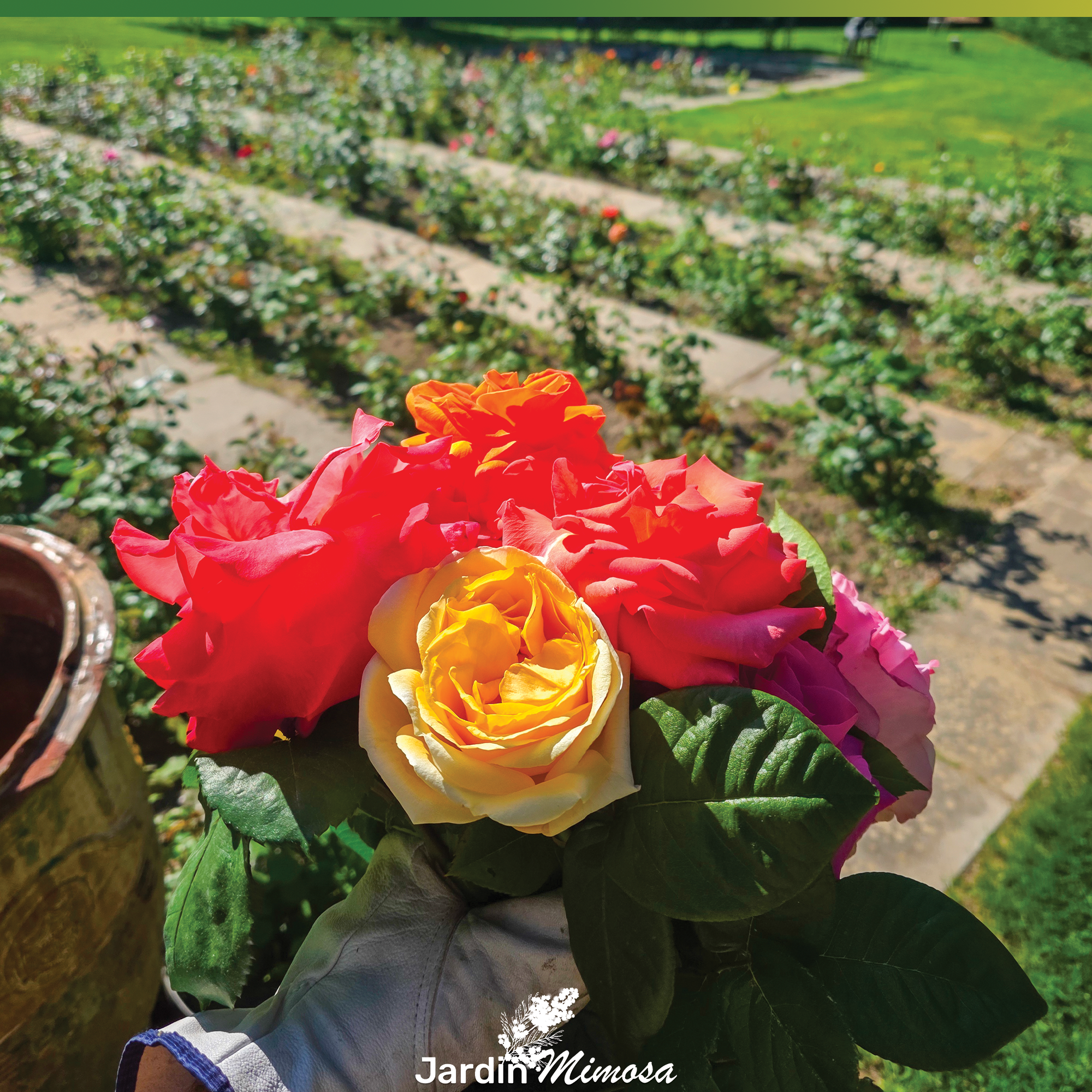 Guide pratique de plantation : réussir vos projets de jardinage