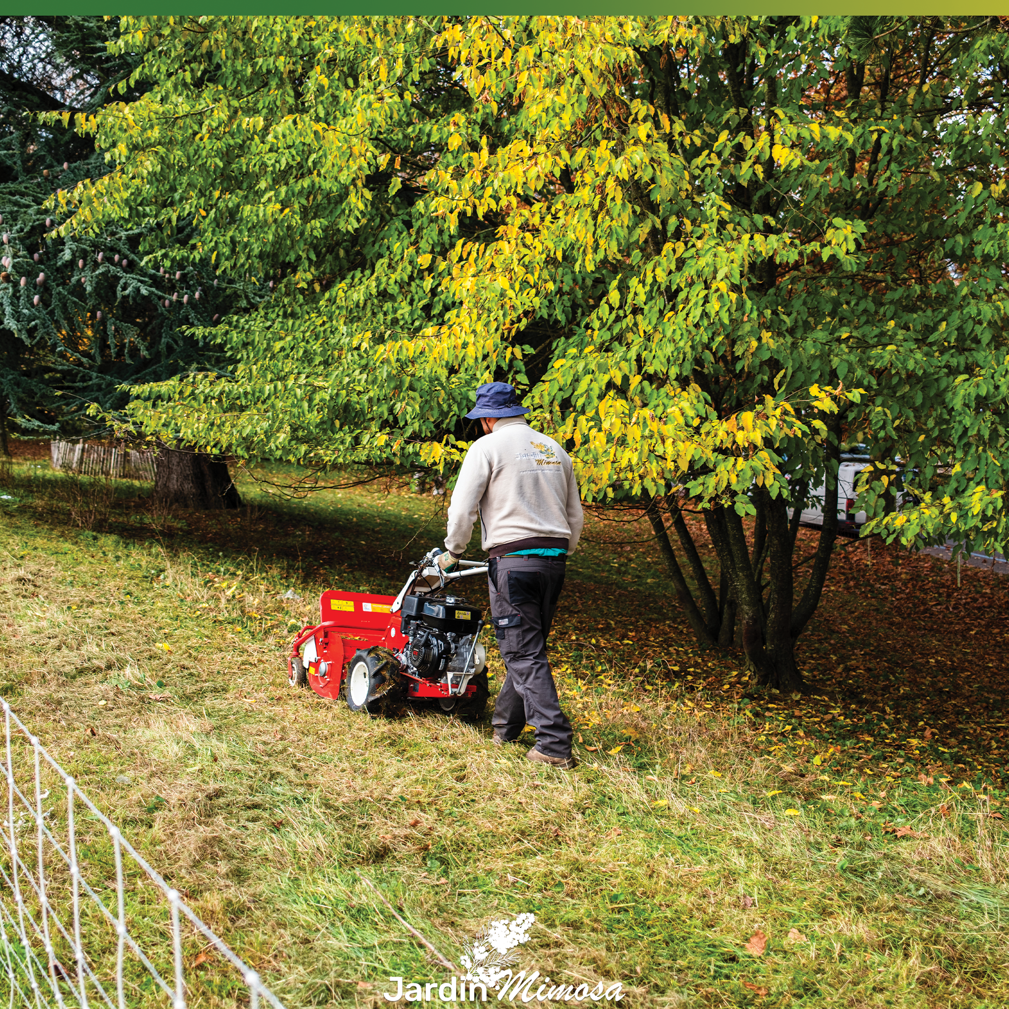 Jardinier Jardin Mimosa tondant la pelouse avec tondeuse autoportée, service entretien pelouse Genève